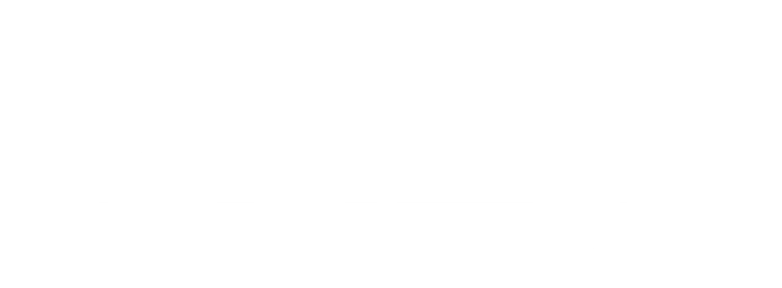One EV